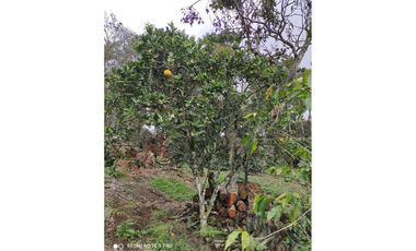 HERMOSA CASA QUINTA EN VENTA EN PACHO