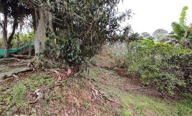 HERMOSA CASA QUINTA EN VENTA EN PACHO