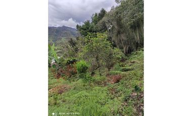 HERMOSA CASA QUINTA EN VENTA EN PACHO