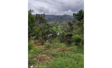 HERMOSA CASA QUINTA EN VENTA EN PACHO