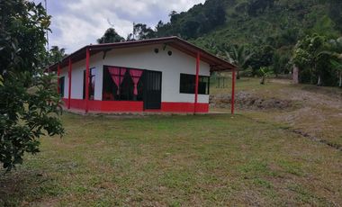 Se Vende Hermosa Finca En La Vega