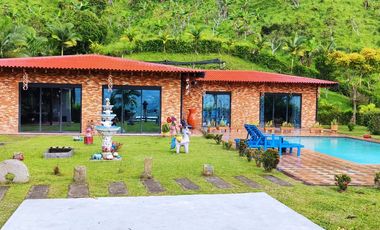 Se Vende Hermosa Finca En La Vega