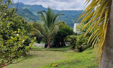 Se Vende Hermosa Finca En La Vega