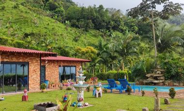Se Vende Hermosa Finca En La Vega