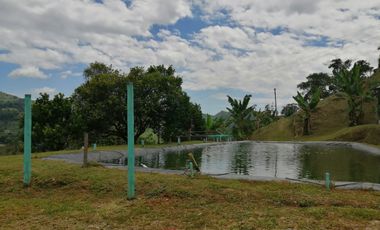 Se Vende Hermosa Finca En La Vega
