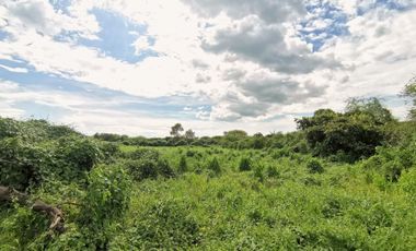 Parcela en Venta a 500mts de la caseta de cobro Acatlán