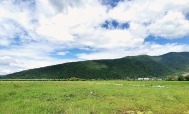 Parcela en Venta a 500mts de la caseta de cobro Acatlán