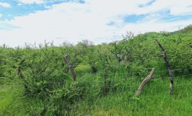 Parcela en Venta a 500mts de la caseta de cobro Acatlán