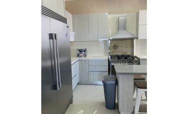 PH MANDARIN BAY APARTAMENTO EN VENTA, SAN FRANCISCO (6)