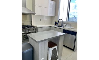 PH MANDARIN BAY APARTAMENTO EN VENTA, SAN FRANCISCO (6)