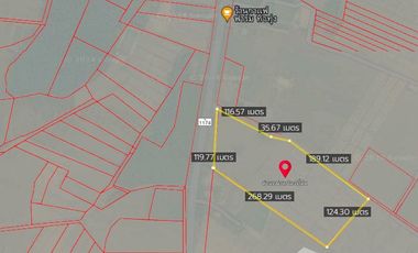 Land for sale in Sathan, Chiang Rai