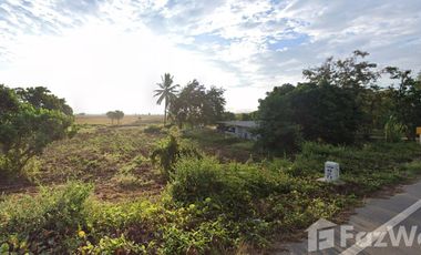 Land for sale in Sathan, Chiang Rai