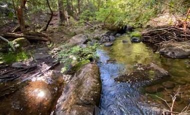 Parcela en Venta en Radal 7 tazas
