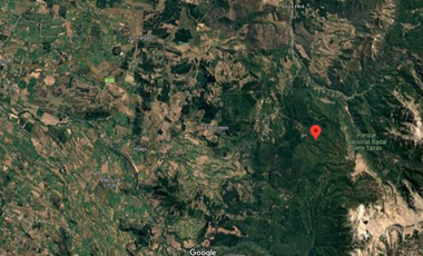 Parcela en Venta en Radal 7 tazas