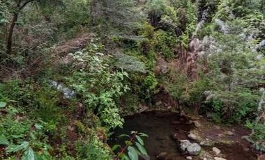 Parcela en Venta en Radal 7 tazas
