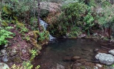 Parcela en Venta en Radal 7 tazas