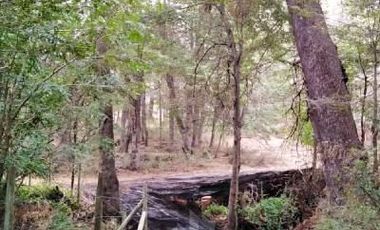 Parcela en Venta en Radal 7 tazas