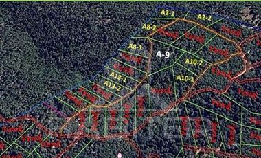 Parcela en Venta en Radal 7 tazas
