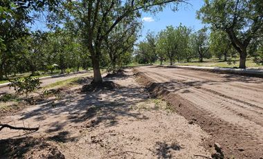 Terreno en Venta en Fracc. Barranca Real Torreón Coah.