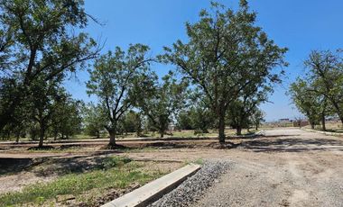Terreno en Venta en Fracc. Barranca Real Torreón Coah.