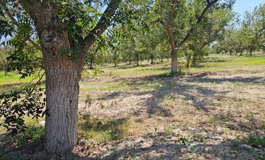 Terreno en Venta en Fracc. Barranca Real Torreón Coah.