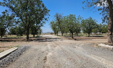 Terreno en Venta en Fracc. Barranca Real Torreón Coah.