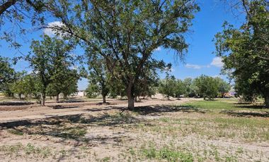 Terreno en Venta en Fracc. Barranca Real Torreón Coah.