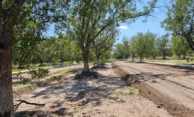 Terreno en Venta en Fracc. Barranca Real Torreón Coah.