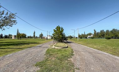 Terreno en Pinares del Sur barrio cerrado, Piñero