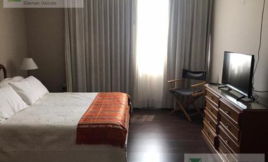 Departamento - Tolosa