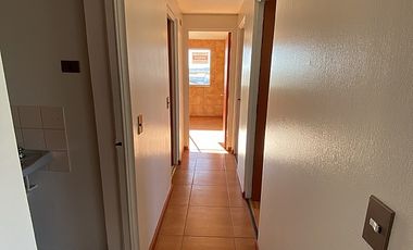 CAMILO HENRIQUEZ CON ANDALIEN