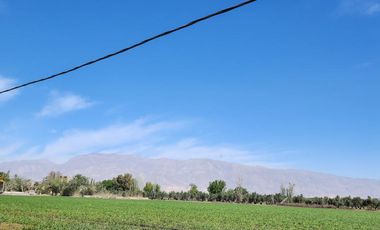 Finca en  Calle 11 y Ruta 40