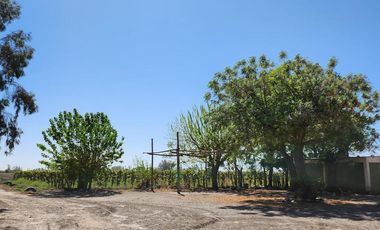 Finca en  Calle 11 y Ruta 40