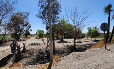 Finca en  Calle 11 y Ruta 40