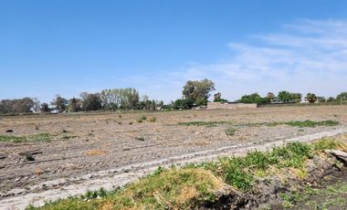Finca en  Calle 11 y Ruta 40