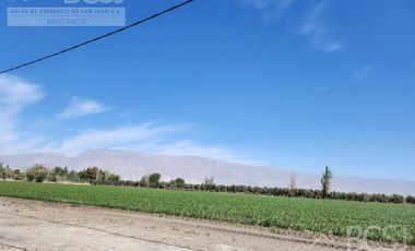 Finca en  Calle 11 y Ruta 40