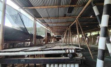 BODEGA EN ARRIENDO EN PIMPOLLO - PEREIRA