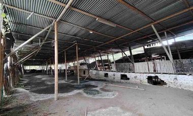 BODEGA EN ARRIENDO EN PIMPOLLO - PEREIRA