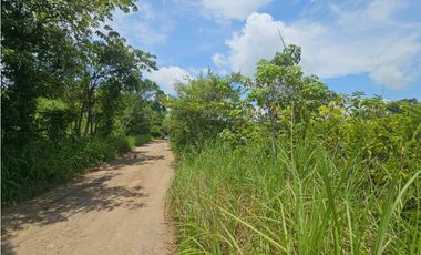 Se vende finca de 5 hectáreas en La Gallinaza, Aguadulce