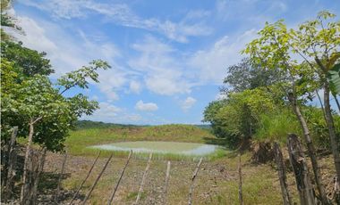 Se vende finca de 5 hectáreas en La Gallinaza, Aguadulce