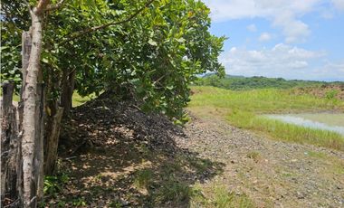 Se vende finca de 5 hectáreas en La Gallinaza, Aguadulce