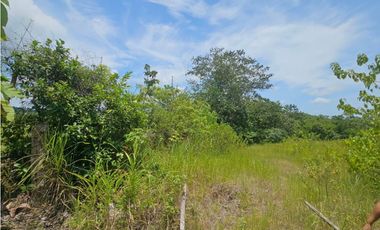 Se vende finca de 5 hectáreas en La Gallinaza, Aguadulce