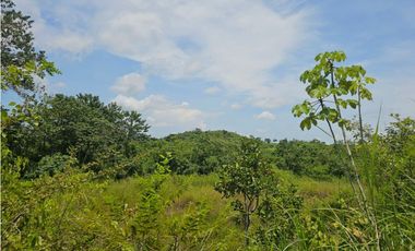 Se vende finca de 5 hectáreas en La Gallinaza, Aguadulce
