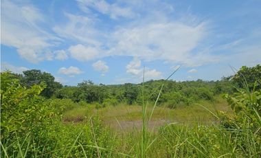 Se vende finca de 5 hectáreas en La Gallinaza, Aguadulce