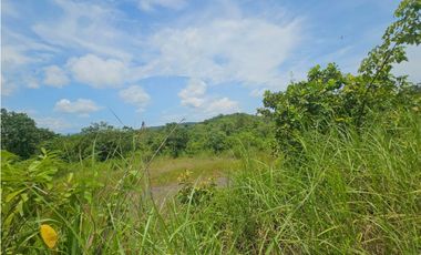 Se vende finca de 5 hectáreas en La Gallinaza, Aguadulce