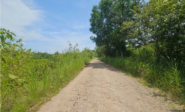 Se vende finca de 5 hectáreas en La Gallinaza, Aguadulce