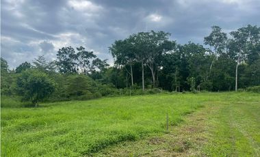 Finca de 41 hectáreas en Penonomé