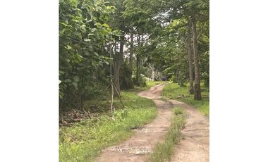 Finca de 41 hectáreas en Penonomé