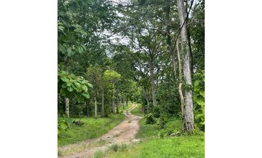 Finca de 41 hectáreas en Penonomé