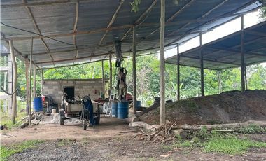 Finca de 41 hectáreas en Penonomé